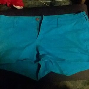 Vibrant Blue Shorts